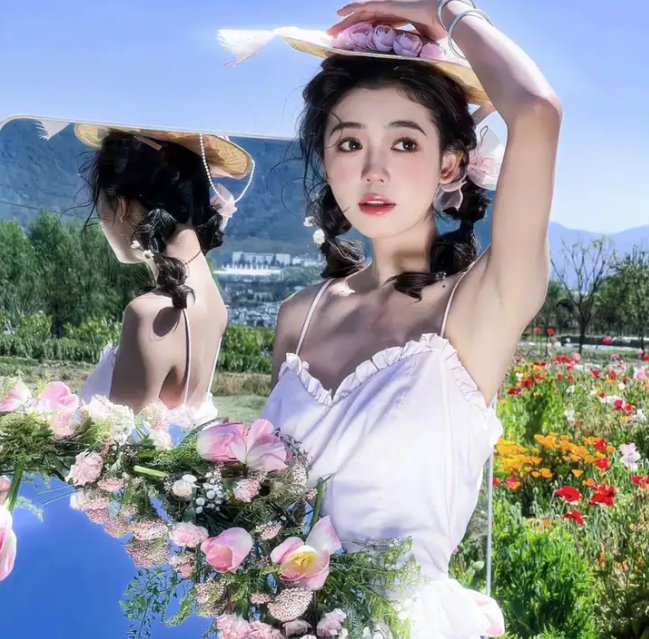飞燕惊鸿